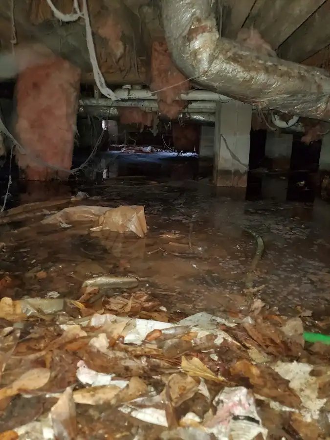 Crawl space flood assessment for Leak Detection & Repair in Denton
